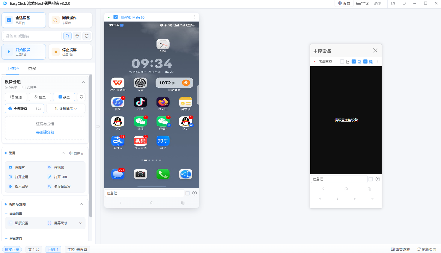 Mirroring shows the phone screen